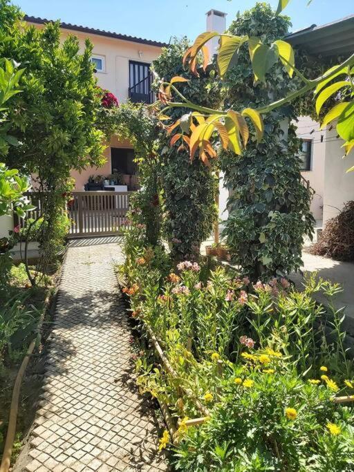 Casa Alegria - The Orangery Daire Tomar Dış mekan fotoğraf